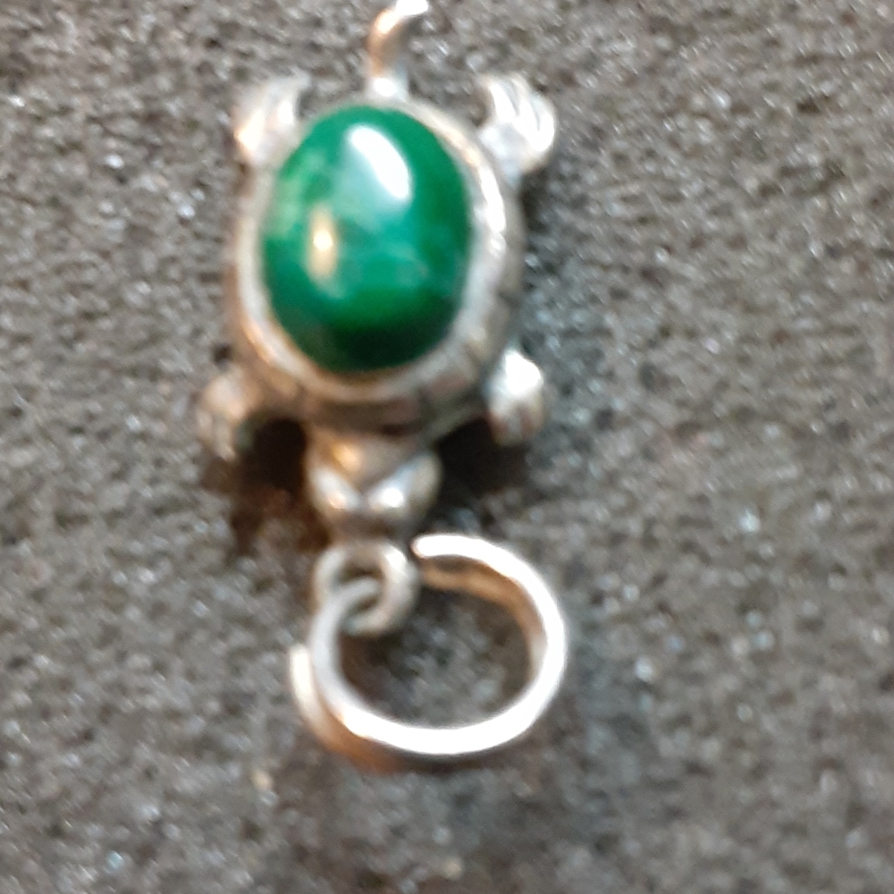 Sterling Silver Turtle